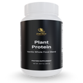Vanilla Plant Protein